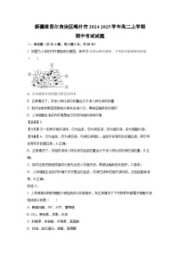 2024-2025学年新疆维吾尔自治区喀什市高二(上)期中考试生物试卷(解析版)