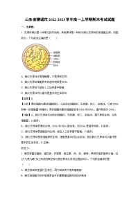 2022-2023学年山东省聊城市高一(上)期末考试生物试卷(解析版)