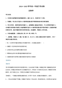 安徽省淮北市重点高中2024-2025学年高一上学期11月月考试题生物含答案