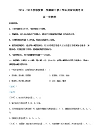 广东省东莞市重点高中2024-2025学年高一上学期11月期中联考试题生物含答案