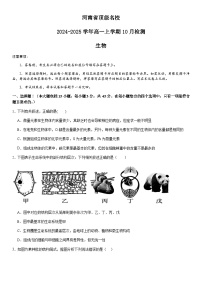 河南省顶级名校2024-2025学年高一上学期10月检测试题生物含答案