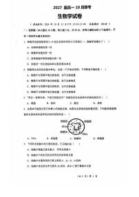 湖北省部分重点高中2024-2025学年高一上学期10月联考试题生物含答案