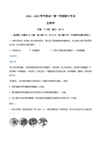 湖南省顶级名校2024-2025学年高一上学期11月期中考试生物含答案