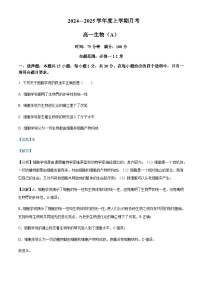 辽宁省部分重点高中2024-2025学年高一上学期10月联考试题生物含答案