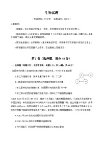 四川省重点高中2024-2025学年高二上学期期中考试试题生物试题含答案