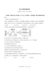 安徽省合肥市部分重点高中2024-2025学年高二上学期11月期中联考试卷生物含答案