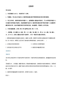 广东省深圳市重点高中2024-2025学年高二上学期11月期中考试生物试题含答案