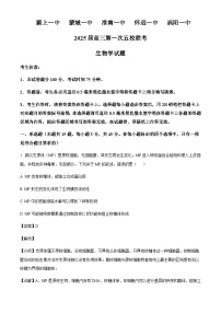安徽省五校联考2024-2025学年高三上学期11月期中考试生物含答案