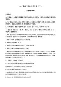 重庆市顶级名校2024-2025学年高三上学期11月适应性月考卷（三）生物含答案