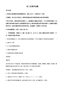 河北省邢台市重点高中2024-2025学年高三上学期10月月考生物试题含答案