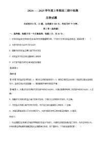 湖北省顶级名校2024-2025学年高三上学期11月期中考试生物试题含答案