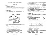 2024-2025学年上海市奉贤区高三上学期高考一模生物试卷含答案
