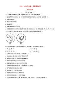 北京市2023_2024学年高一生物上学期期中试题