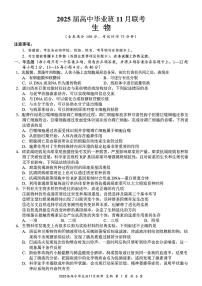 广西新课程教研联盟2024-2025学年高三上学期11月联考生物试卷（PDF版附解析）