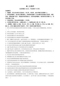 广东省湛江市2024-2025学年高二上学期11月期中考试 生物（含解析）