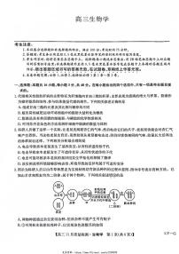 2025届九师联盟高三(上)12月联考生物试卷(无答案)