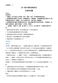 山东省昌邑市2024-2025学年高一上学期期中考试生物试题（解析版）-A4