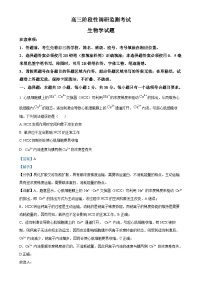 山东省潍坊市2024-2025年高三上学期期中考试生物试题（解析版）-A4