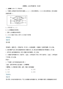 四川省内江市2023_2024学年高二生物上学期期中试题含解析
