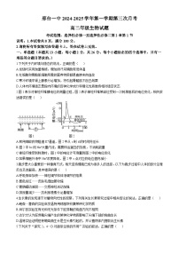 河北省邢台市第一中学2024-2025学年高二上学期11月月考生物试题（Word版附答案）