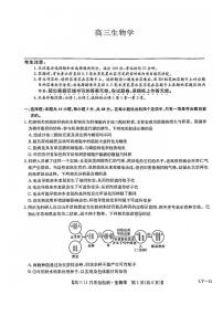 九师联盟2025届高三上学期12月联考-生物试卷+答案