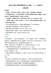 重庆市巴蜀中学教育集团2024-2025学年高一上学期期中生物试题（Word版附解析）