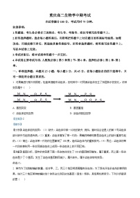 重庆市万州第三中学等50多校2024-2025学年高二上学期期中考试生物试题（Word版附解析）