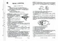 重庆市金太阳联盟2024-2025学年高二上学期12月月考生物试卷