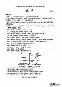 山东省临沂市河东区2024-2025学年高二上学期11月期中考试生物试题