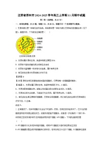 2024-2025学年江苏省苏州市高三(上)11月期中生物试卷(解析版)