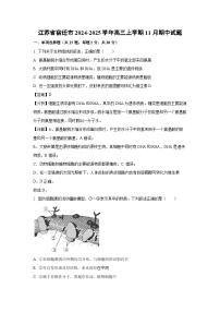 2024-2025学年江苏省宿迁市高三(上)11月期中生物试卷(解析版)