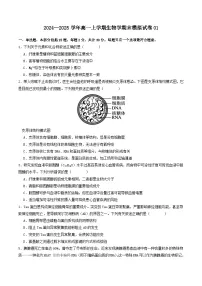 2024—2025学年高一生物人教版上学期期末模拟试卷01（含答案解析）