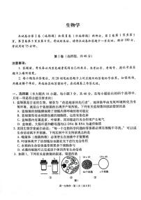 2025贵阳高一上学期12月月考生物试题PDF版含答案