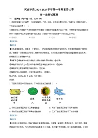 新疆维吾尔自治区喀什地区英吉沙县2024-2025学年高一上学期11月期中生物试题（解析版）-A4