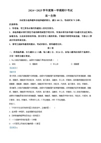 广东省茂名市电白区2024-2025学年高一上学期期中考试生物试卷（Word版附解析）