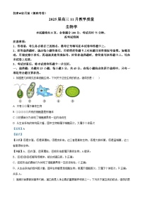 河南省华大联考2024-2025学年高三上学期11月期中考试生物试卷（Word版附解析）