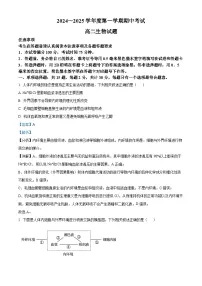 江苏省徐州市2024-2025学年高二上学期期中考试生物试卷（Word版附解析）