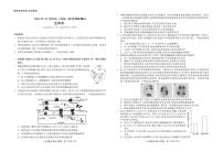 东北三省2024-2025学年高三上学期12月联考调研测试生物试卷