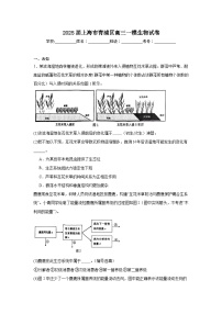 2025届上海市青浦区高三一模生物试卷