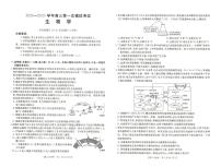 （金太阳）河南新乡一模2024-2025学年高三上学期12月第一次模拟生物试卷及答案