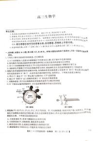 生物丨九师联盟2025届高三上学期11月教学质量监测联考生物试卷及答案