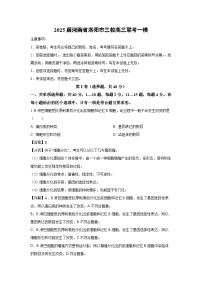 2025届河南省洛阳市三校高三联考一模生物试卷(解析版)