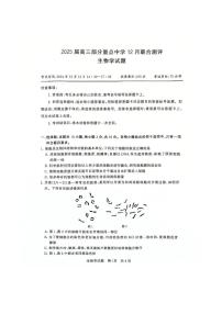 2025届全国T8联考高三上学期12月生物试题及答案