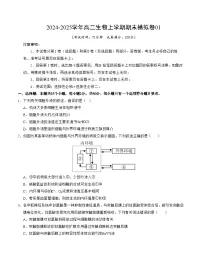 2024-2025学年高二生物人教版上学期期末模拟卷01（含答案解析）
