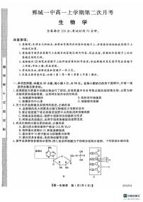 山东省菏泽市鄄城县第一中学2024-2025学年高一上学期12月月考生物试题