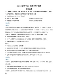 四川省眉山市仁寿县协作体2024-2025学年高一上学期11月期中联考生物试卷（Word版附解析）