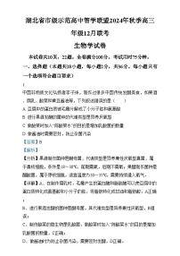 湖北省市级示范高中智学联盟2024-2025学年高三上学期12月联考生物试卷（Word版附解析）