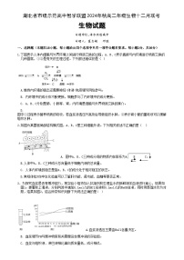 湖北省市级示范高中智学联盟2024-2025学年高二上学期12月联考生物试卷（Word版附答案）