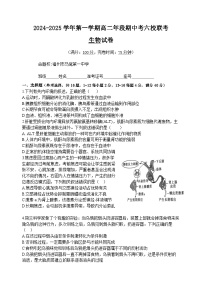 福建省福州市马尾第一中学等六校2024-2025学年高二上学期期中联考生物试题