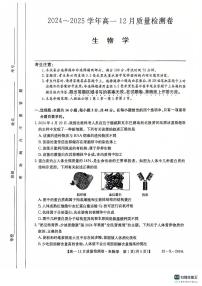 山西省三晋卓越联盟2024-2025学年高一上学期12月月考生物试题